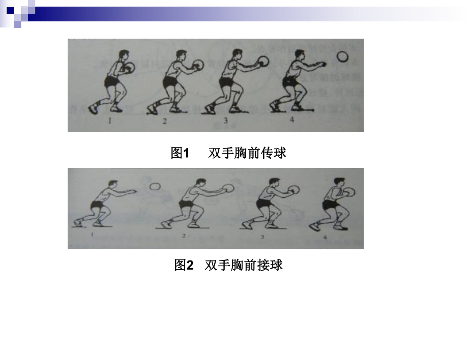 篮球技术基础知识课件.ppt_第2页