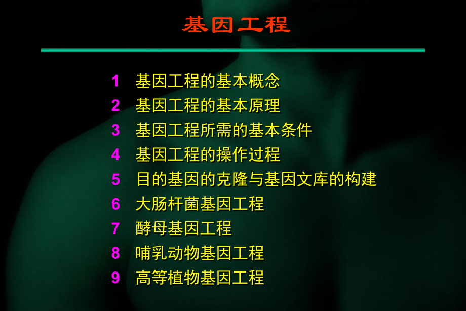 高等植物基因工程课件.ppt_第2页