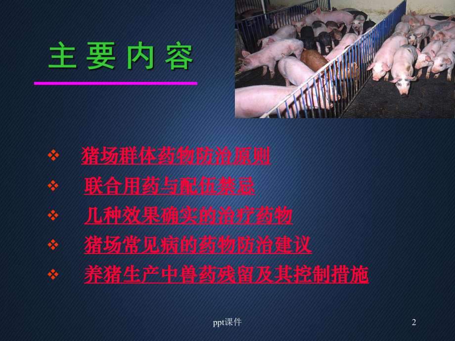 规模化猪场临床合理用药原则-课件.ppt_第2页