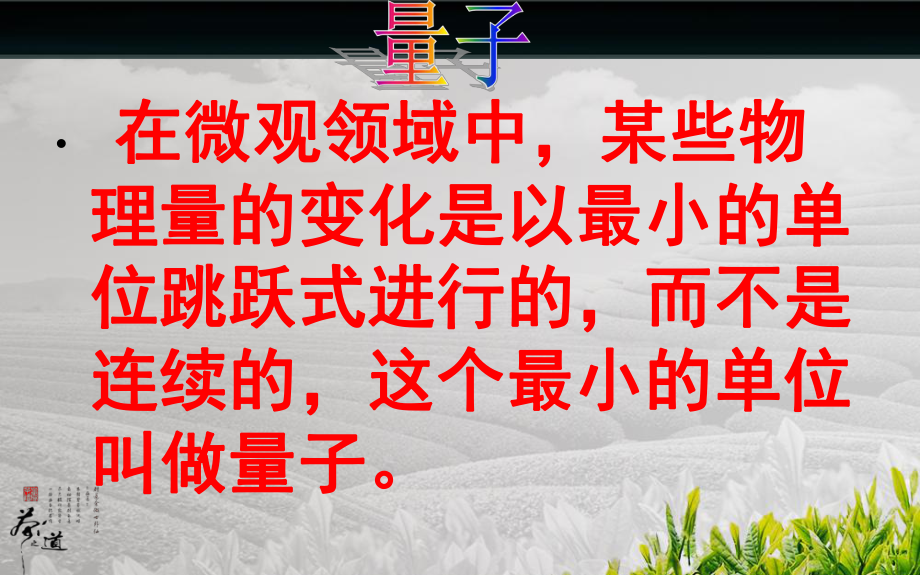 量子丛林课件.ppt_第2页