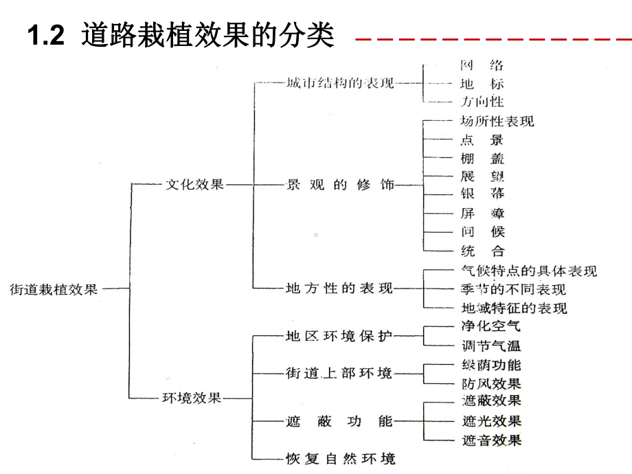 道路绿化栽植设计优质课件.pptx_第3页