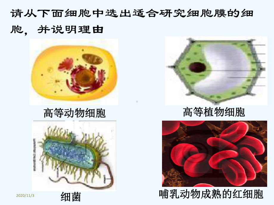 细胞的基本结构课件.ppt_第2页