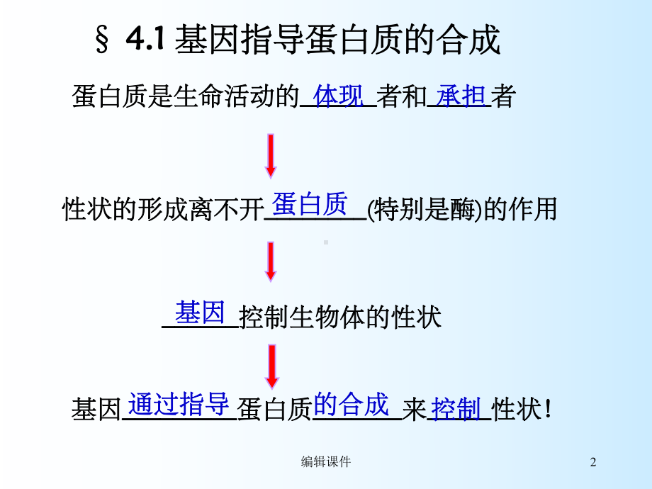 人教版教学课件基因指导蛋白质合成复习.ppt_第2页