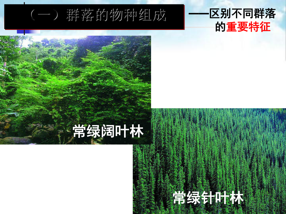 群落的结构课件(自制)44.ppt_第3页