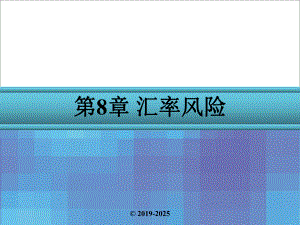 金融风险管理第8章-汇率风险课件.pptx