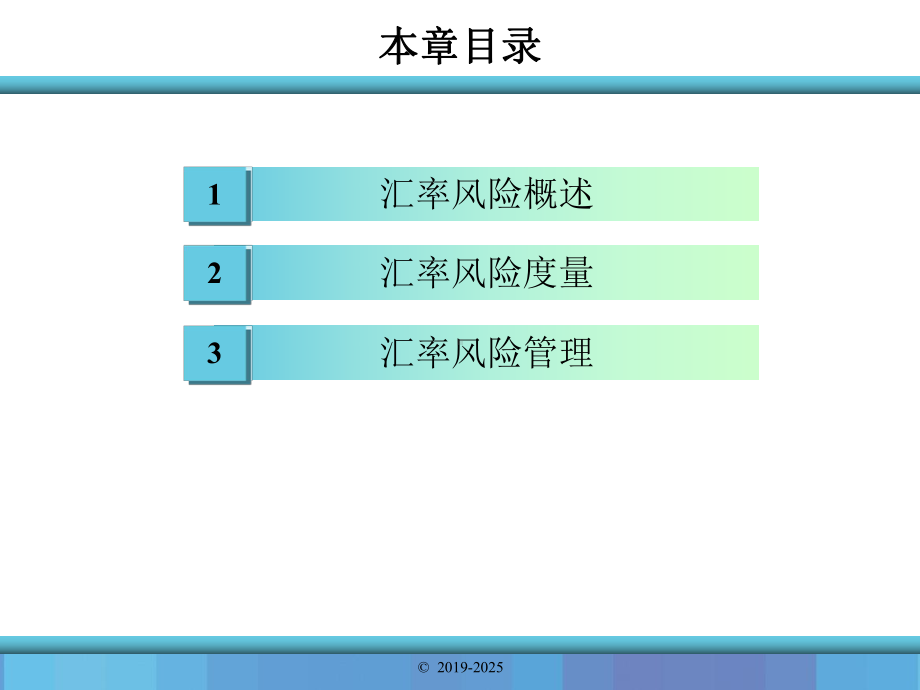 金融风险管理第8章-汇率风险课件.pptx_第2页