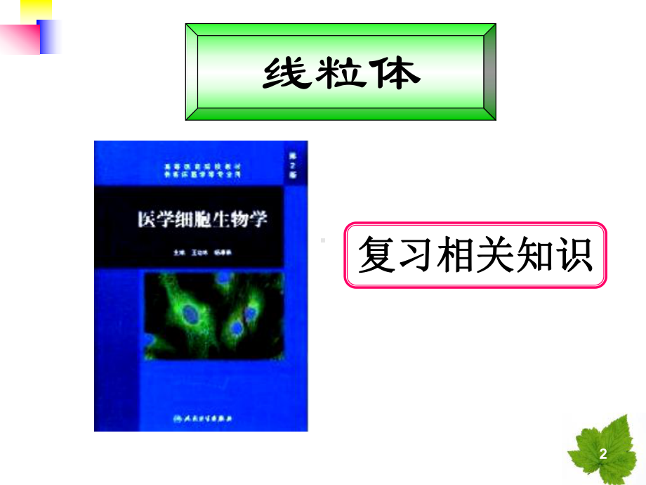 线粒体遗传病课件.ppt_第2页