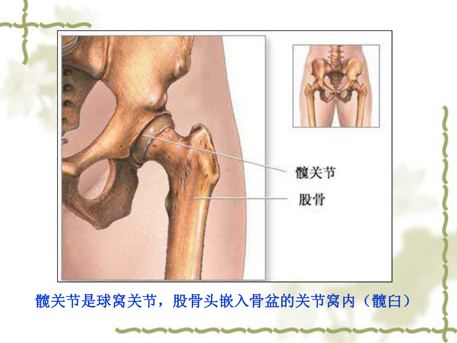 髋关节置换术后功能训练课件.ppt_第3页