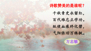 部编版清贫课件2.ppt