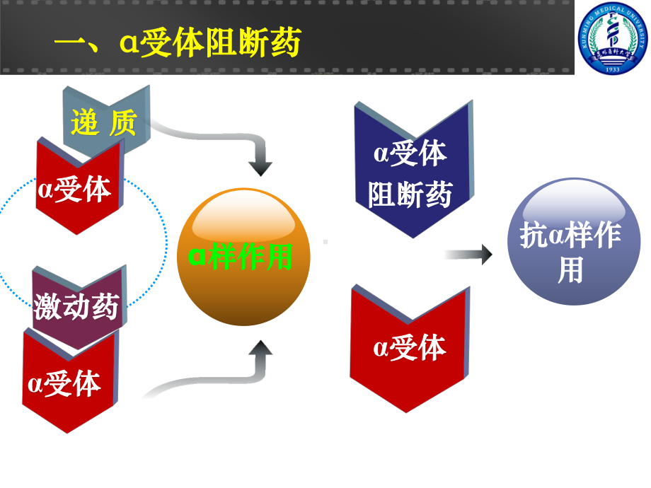 第九章-肾上腺素受体阻断药课件.ppt_第3页