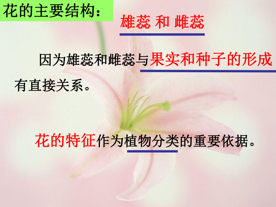 花的结构与类型课件.ppt_第3页