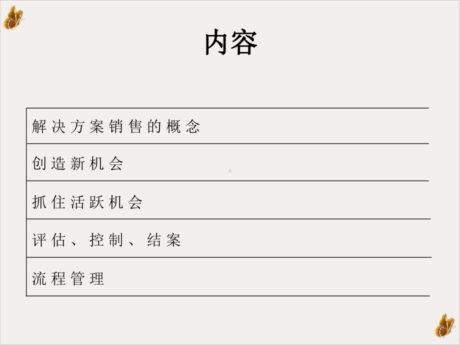 解决销售课件.pptx_第2页