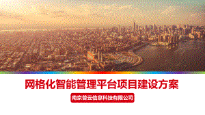 网格化项目建设方案.ppt