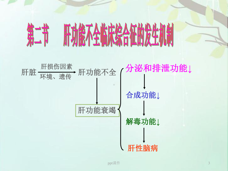 肝功能不全-课件.ppt_第3页