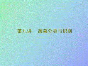 蔬菜分类与识别.ppt