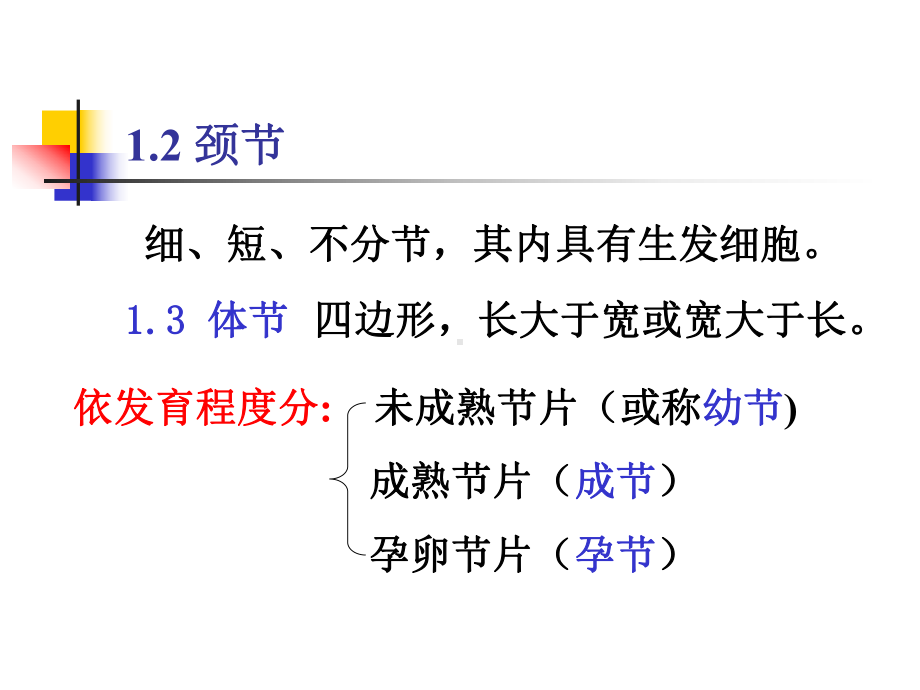 第三章动物蠕虫病学绦虫课件.ppt_第3页