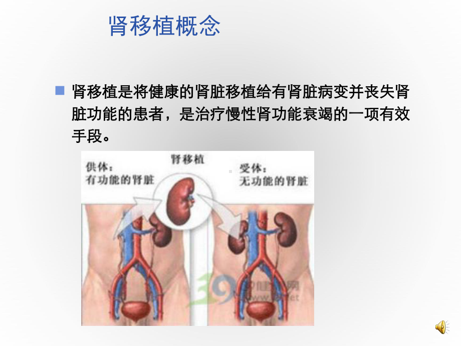 肾移植进展及护理课件.ppt_第2页