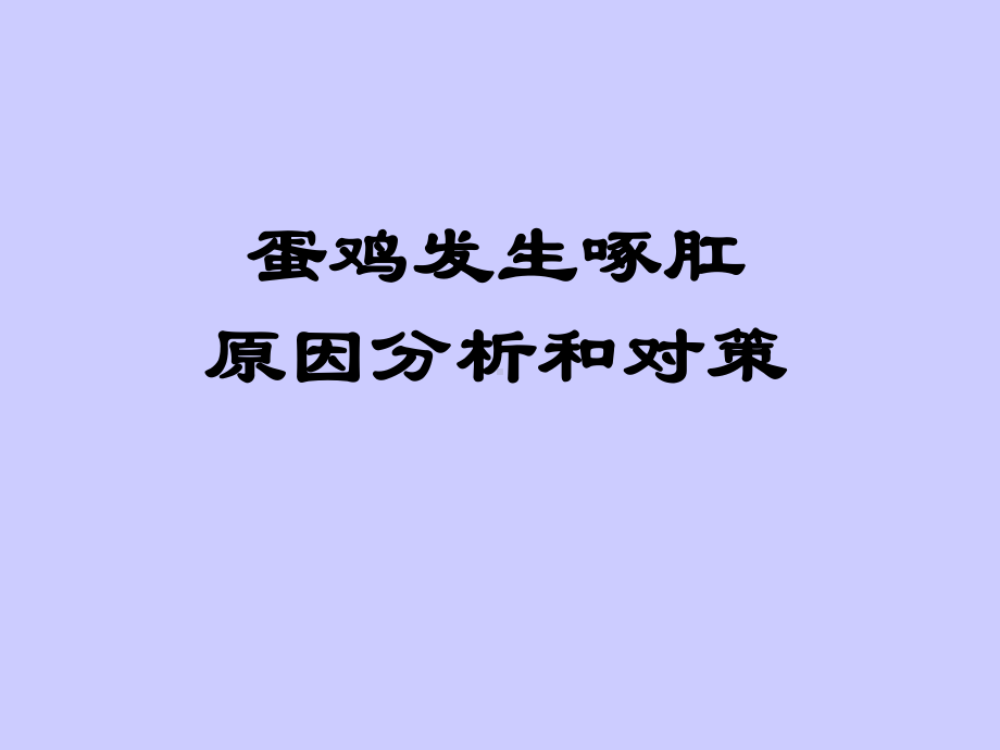 蛋鸡发生啄肛原因分析和对策-课件.ppt_第1页