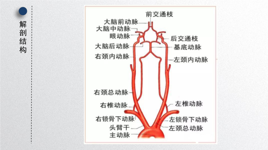 锁骨下动脉窃血综合征课件.pptx_第3页