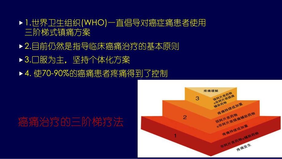 鞘内植入式药物输注系统用于顽固性癌痛的治疗课件.ppt_第3页