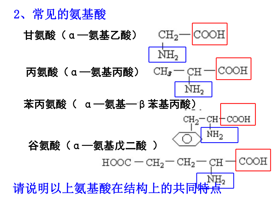 苏教版有机化学基础选修-氨基酸蛋白质课件.ppt_第3页