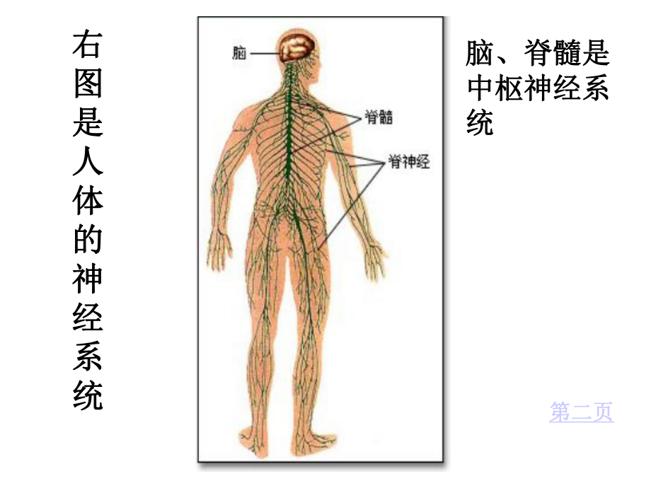 请您对本课件的不足做出指导讲解.ppt_第3页