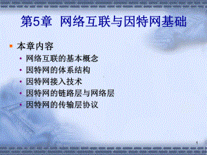 第5章-网络互联与因特网基础-网络技术课件.ppt