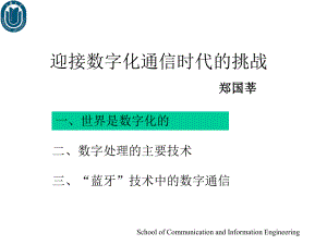 迎接数字化通信时代的挑战课件.ppt