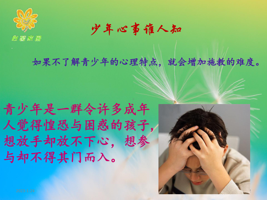 青少年常见精神疾病及相关知识课件.ppt_第2页