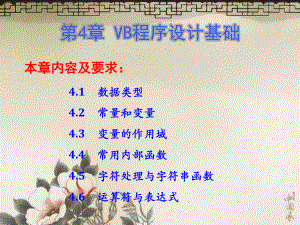 第4章-VB程序设计基础课件.ppt