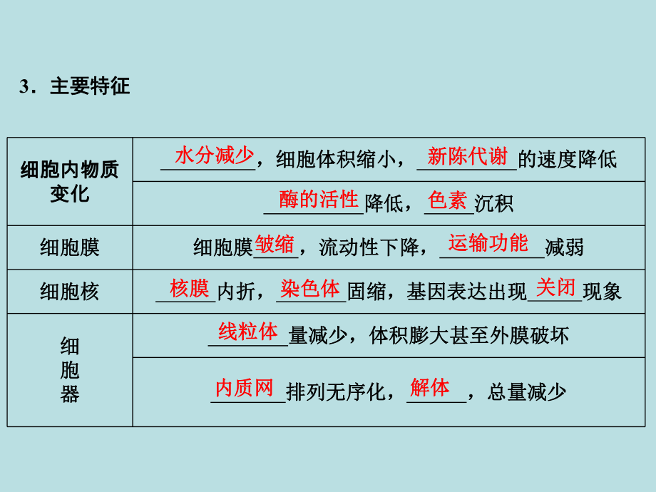 细胞的衰老与凋亡-优秀课件.ppt_第2页