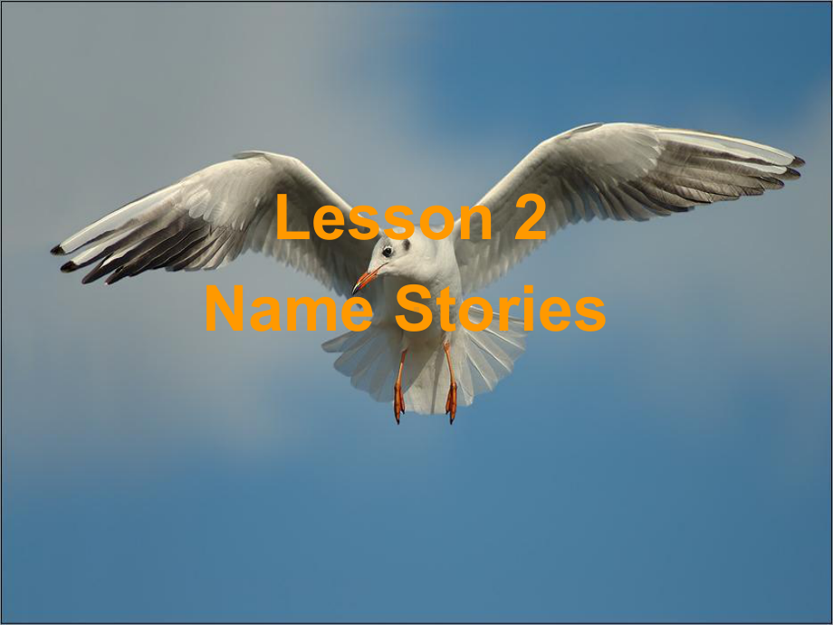 英语北师大版必修6-Unit16-Lesson-2-Name-Stories-课件.ppt（纯ppt,可能不含音视频素材）_第1页