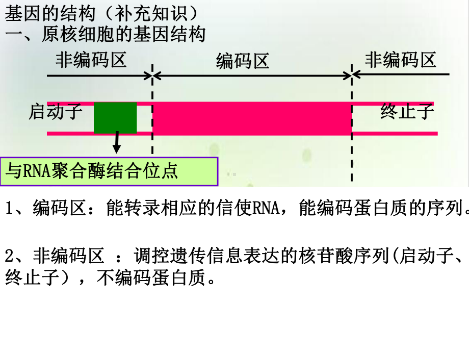 选修三专题一基因工程的基本操作程序实用版课件.ppt_第3页