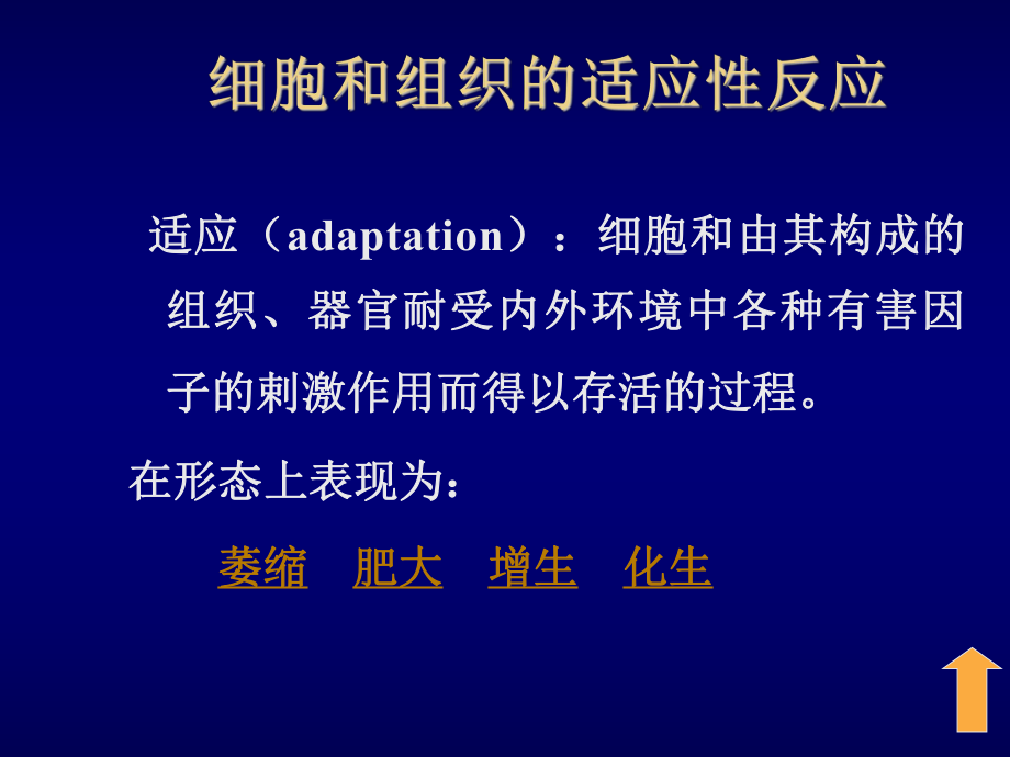 第2章-细胞和组织的适应、损伤与修复课件.ppt_第2页