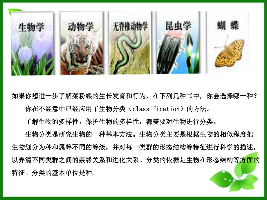 苏教版生物的分类优秀课件1.ppt_第3页