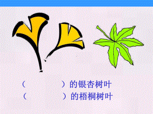 蓝色的树叶-(一二课时)课件.ppt