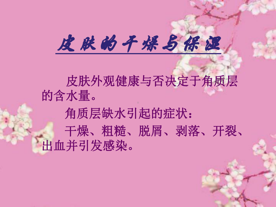 特殊皮肤养护课件.ppt_第2页