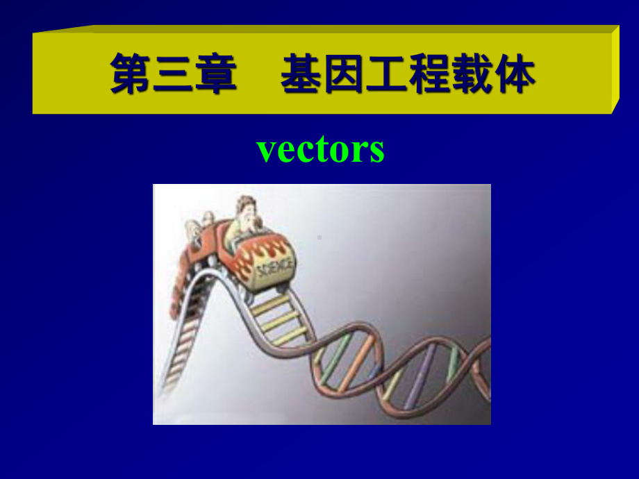 第三章-基因工程载体课件.ppt_第2页