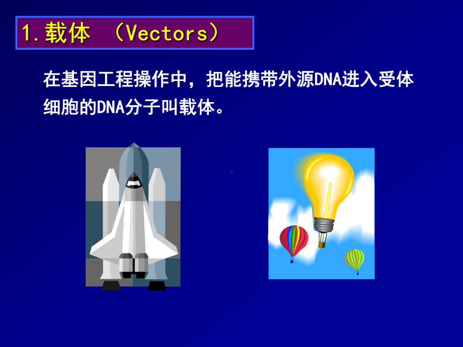 第三章-基因工程载体课件.ppt_第3页