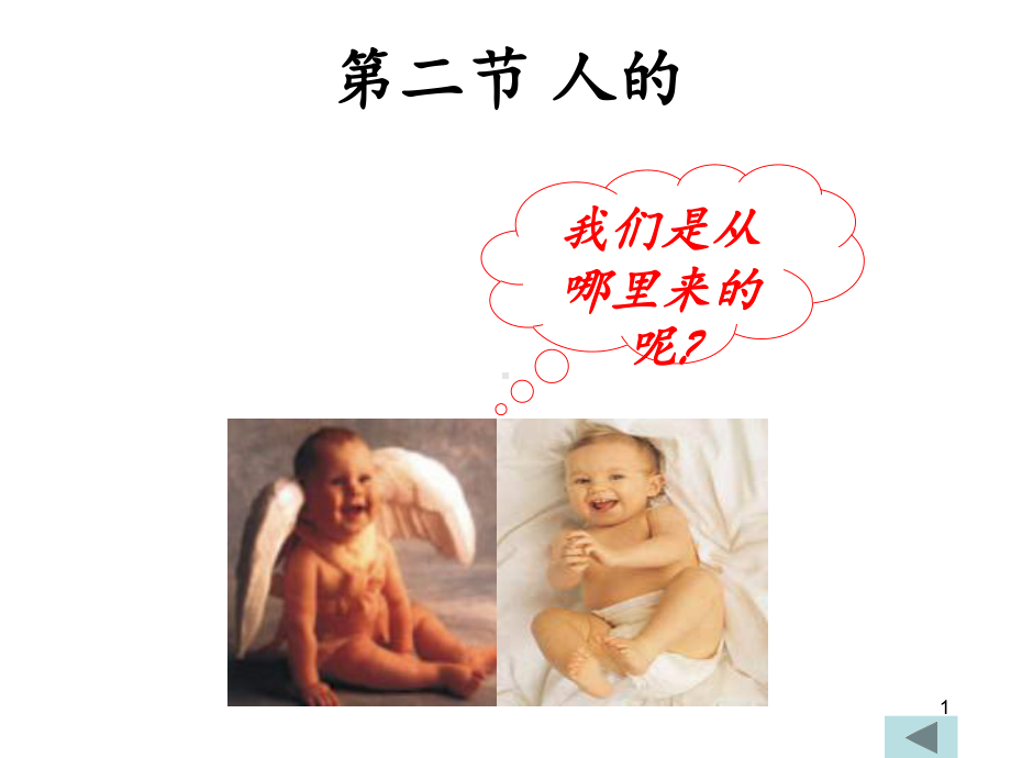 第二节-人的生殖-课件.ppt_第1页