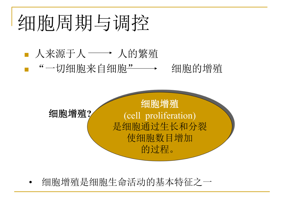 细胞周期与调控-课件.ppt_第3页