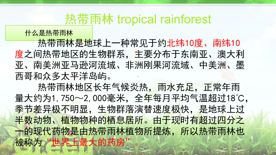 热带雨林及其破坏与保护讲解课件.ppt_第3页