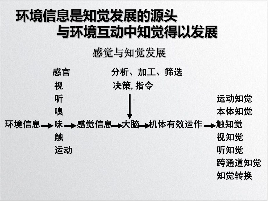 视听知觉发展障碍及教育对策培训课程课件.ppt_第3页