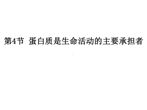 蛋白质是生命活动的主要承担者课件.ppt