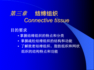 组织学第三章结缔组织课件.ppt