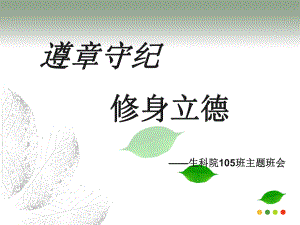 遵章守纪修身立德1-课件.ppt