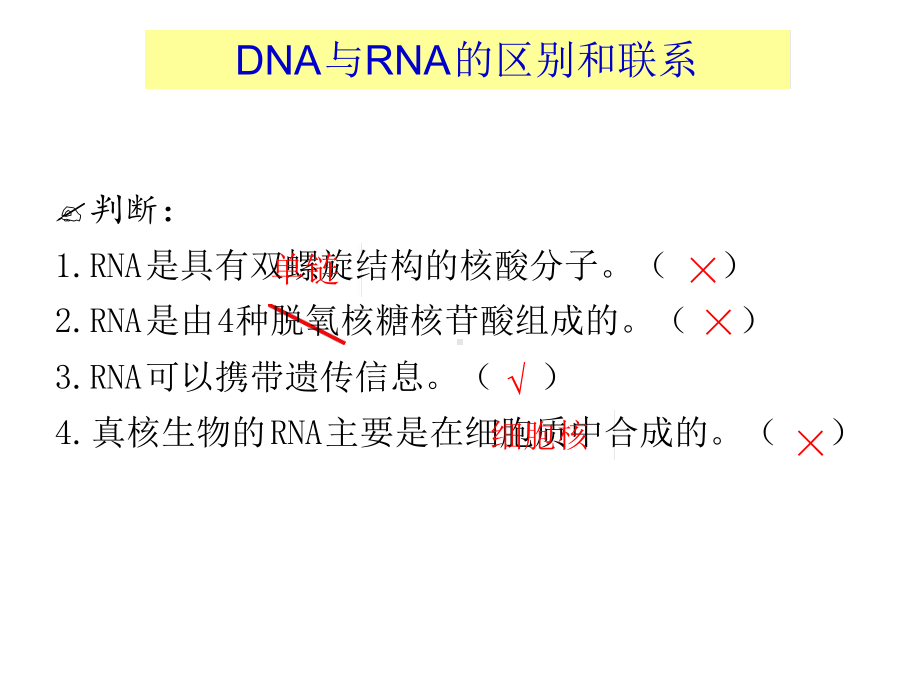 第四章基因的表达课件复习课件.ppt_第3页