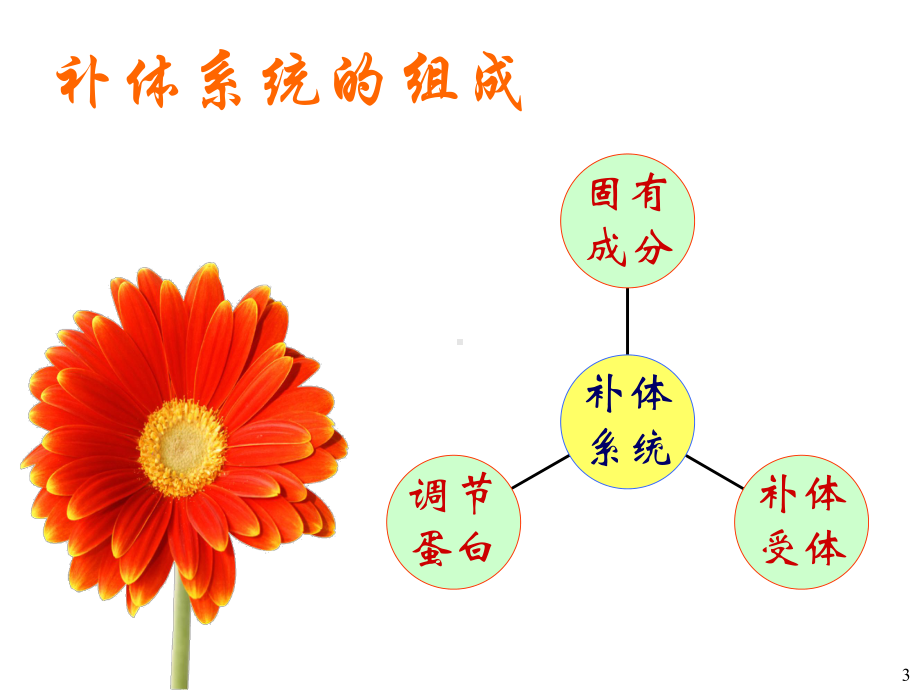 补体-微生物与免疫学-教学课件.ppt_第3页