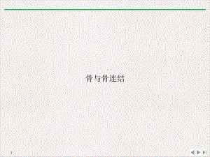 骨与骨连结优质精选课件.ppt