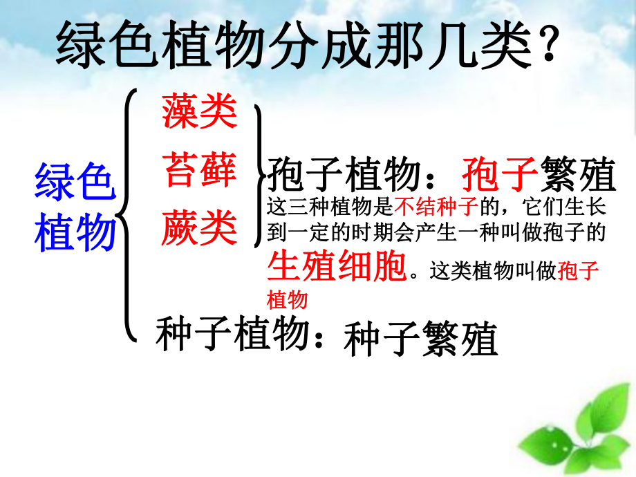 藻类、苔藓和蕨类植物课件-29.ppt_第3页